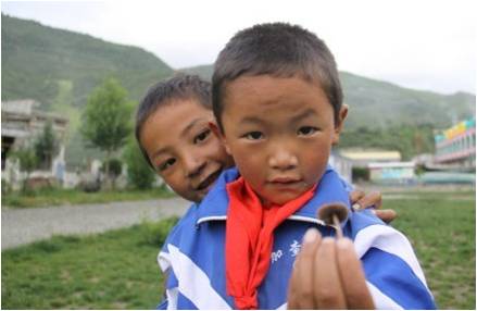 �ɂ�(g��)�W(xu��)���������(f��)����W(xu��)��֧���(du��)�T�����_(d��)�Ѻ����f��һֻСĢ�����挦�㌍(sh��)�ĺ��ӂ���֧���(du��)�T������ϣ���ǡ��������҂���ʣ��҂��������S��(sh��)����