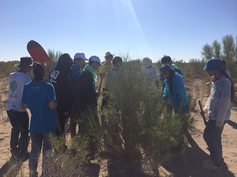 ������Ҫ��һ���ļ��ɺͽ�(j��ng)���ͬ�W(xu��)���_ʼ������һƬ�����ַ��ز����^�m(x��)�����[�ص�����