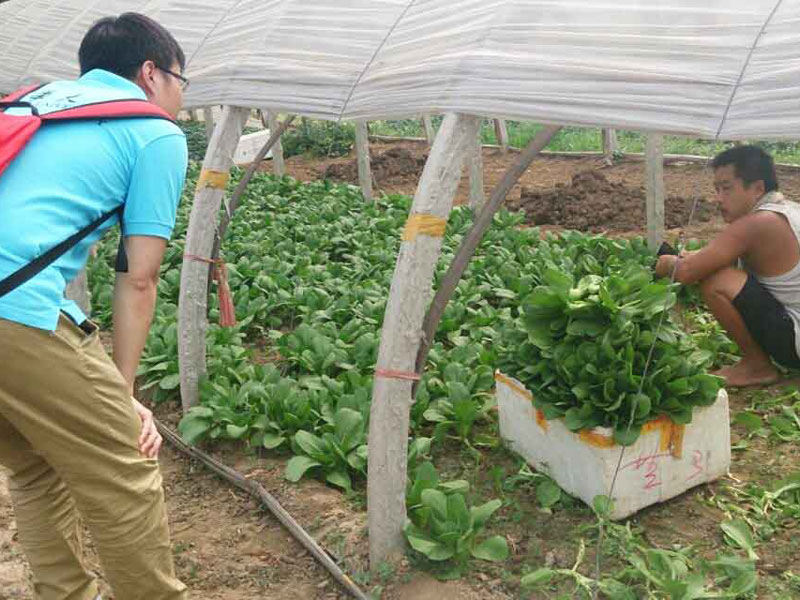 ���`꠆T�c��(d��ng)?sh��)��r(n��ng)��e�O��ͨ������������}���˽��߲˴�������P(gu��n)��r��