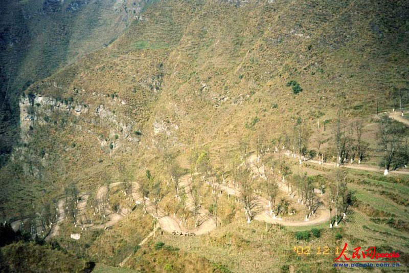 ��¡��24���ա�֮������ꐁ���?j��n)zӰ�� 