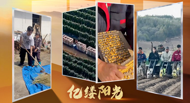 億縷陽(yáng)光·鄉(xiāng)見(jiàn)｜農(nóng)活也能如此簡(jiǎn)單